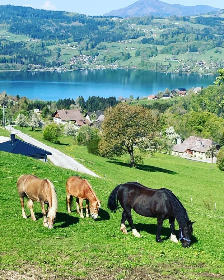 Feichtingerhof Villa Steinbach am Attersee Exteriör bild